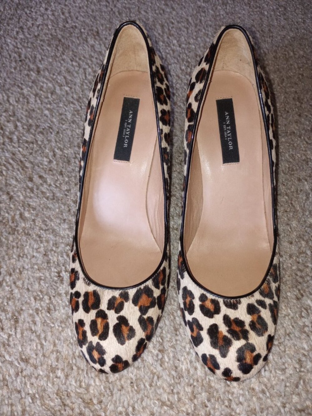Ann Taylor leopard-print shoes , size 6 M